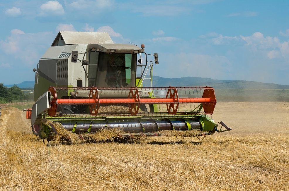 Grain Harvesting with Combine Harvester